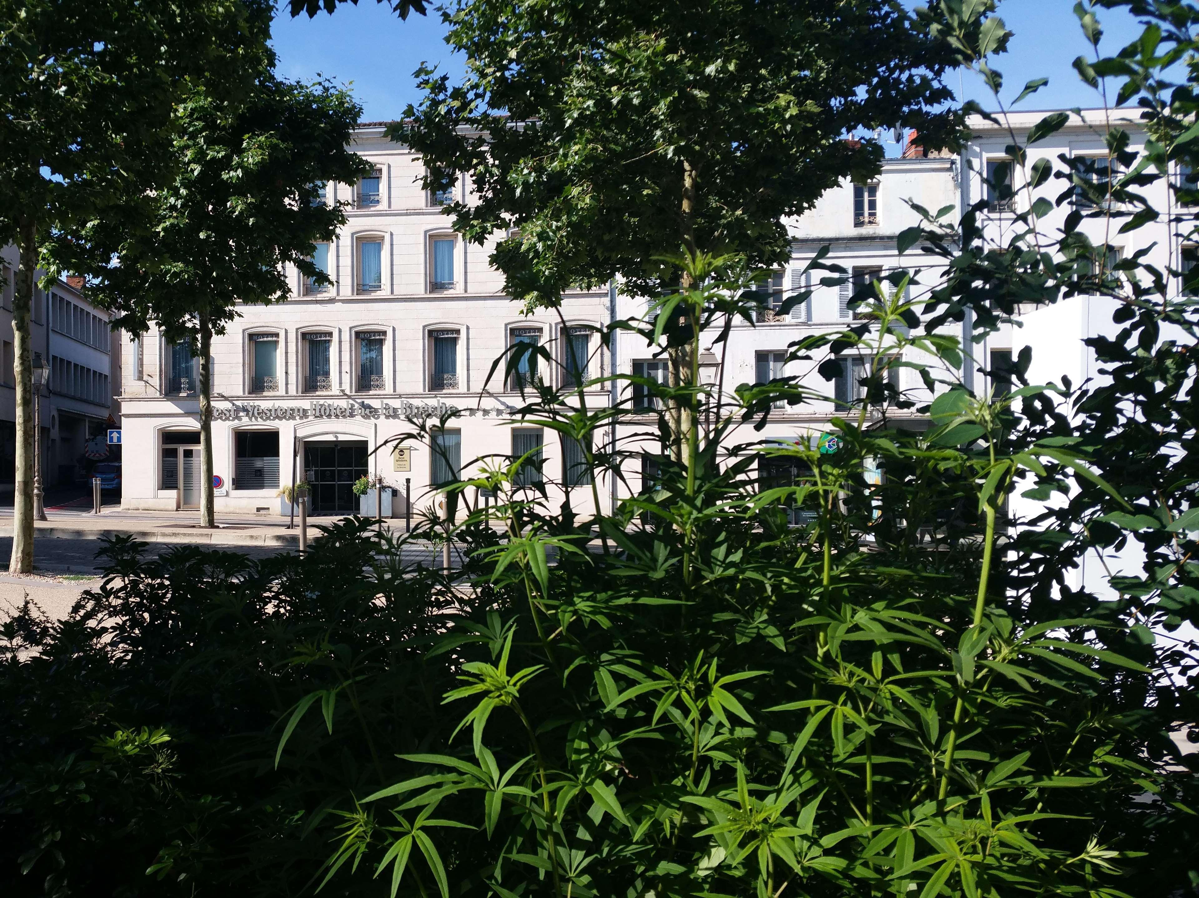 Best Western Hotel De La Breche Niort Bagian luar foto